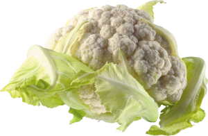 Cauliflower PNG-12666